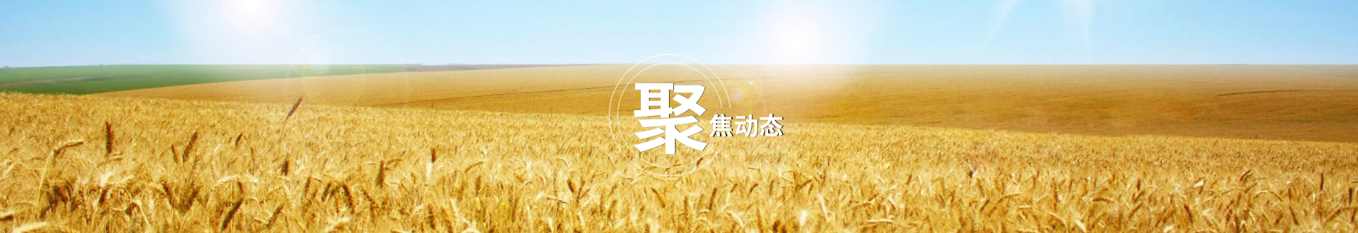 企業(yè)動(dòng)態(tài)